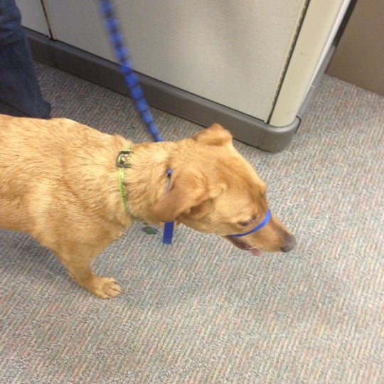 McLaughlin Youth Center University Area 2 tips