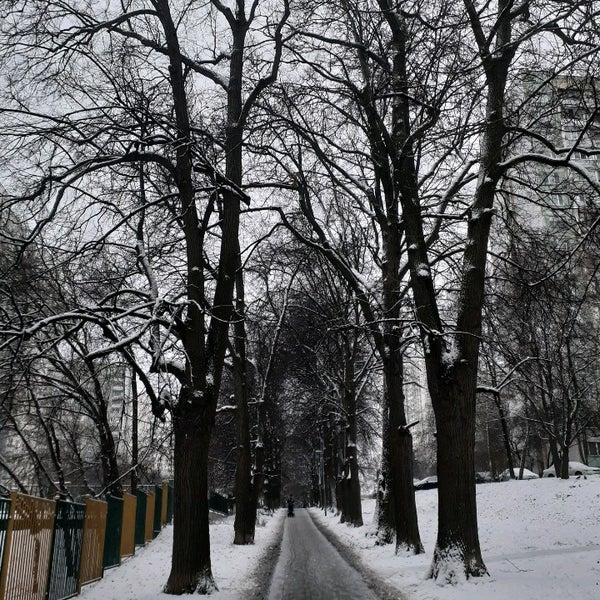 В липовой аллее печально шелестела. В липовой аллее печально шелестела