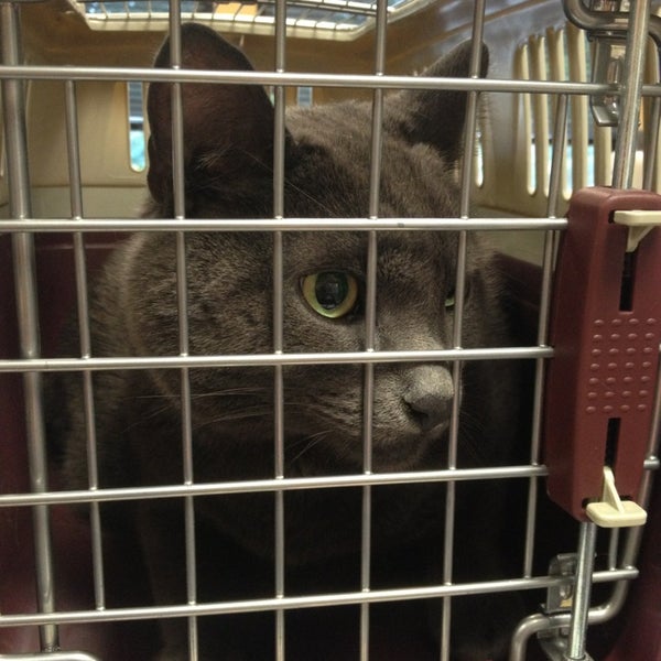 Photos At Creature Comforts Animal Hospital P C 6 Tips From 26