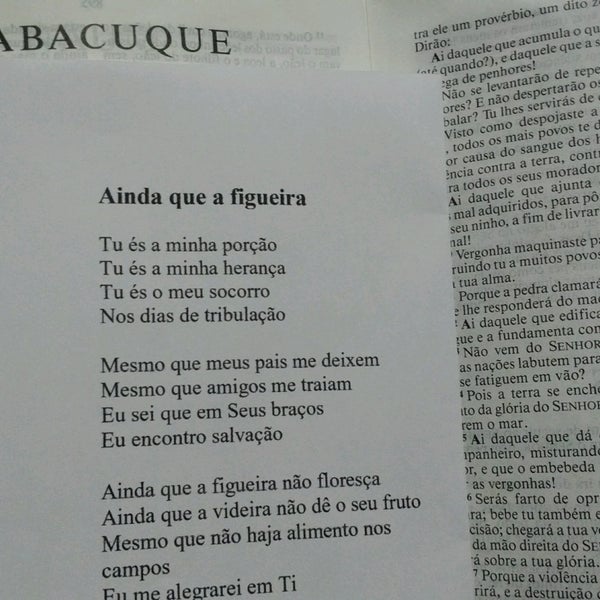 Gfcm Do Jardim Continental 1 Tip From 15 Visitors