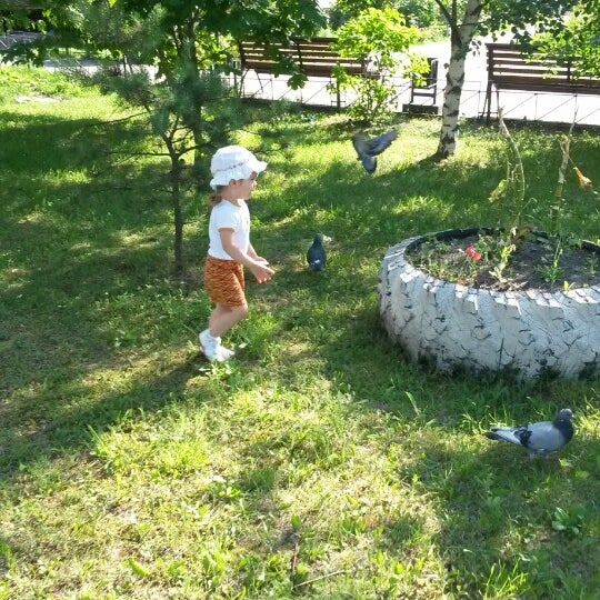 Тсж дачное. Тсж дачное