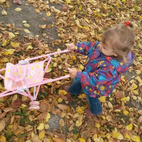 Тсж дачное. Тсж дачное