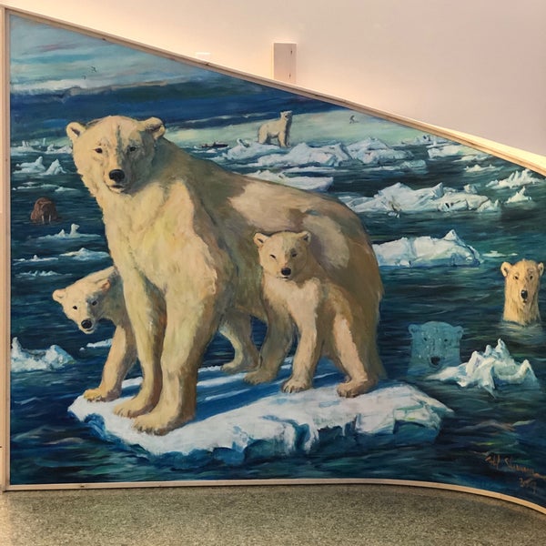 11/27/2018에 Deepan S.님이 University of Alaska Museum of the North에서 찍은 사진