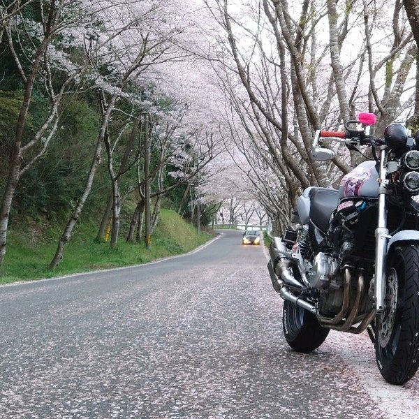 Photos At 庭木ダム Dam