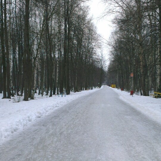 Парк авангард электросталь купол. Авангард электросталь беседки. Авангард электросталь беседки. Авангард парк электросталь беседки. Экопарк авангард электросталь.