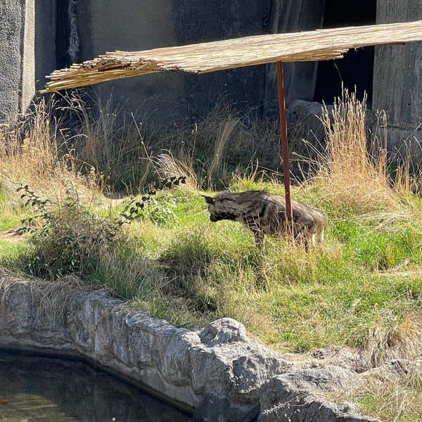 9/11/2021にYavor K.がЗоопарк София (Sofia Zoo)で撮った写真