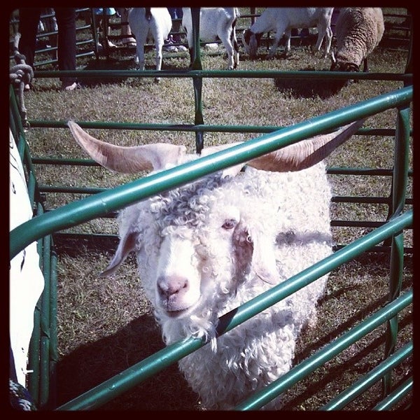 Photos At Max Becker Common Larentian West Kitchener On