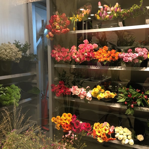 Photos At Plaza Hollandi الدوحة الدوحة
