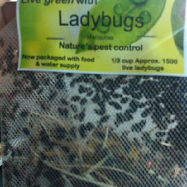 Calloway's Nursery 1 tip from 119 visitors