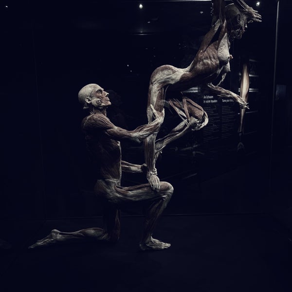 Photo taken at Body Worlds by Majed .. on 8/8/2022