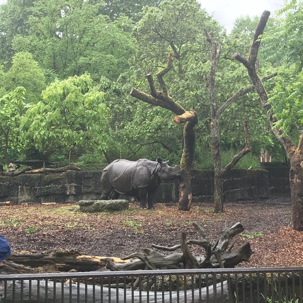 Photo taken at Zoo Basel by Imelda H. on 5/10/2018
