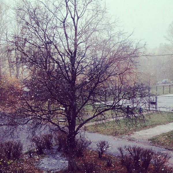 Квартира димитровград. Бурцева 3 димитровград. Димитровград улица бурцева. Димитровград ул бурцева фото. Бурцева 9.