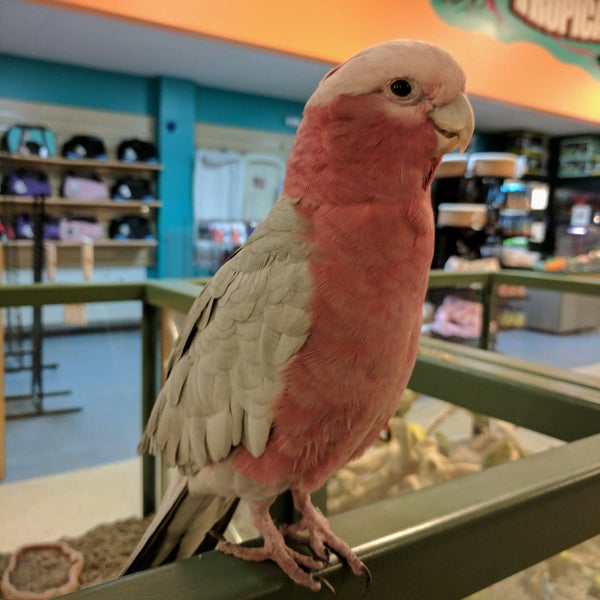 Photo taken at Petland Overland Park by Iryna on 5/13/2017