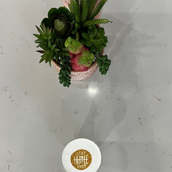 Daily Drip Coffee Shop in Glendale