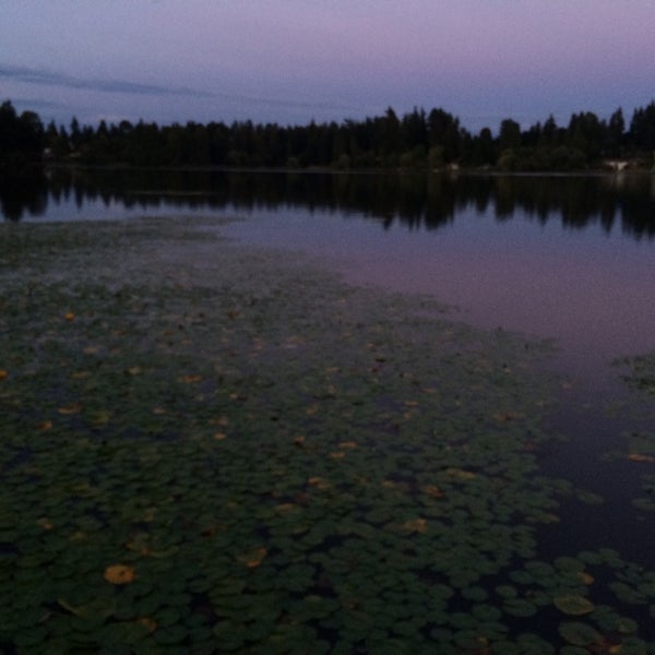 Фантом озера. Фантом озера о чём?. Таинственное озеро. Фантом озера. Фантом озера.