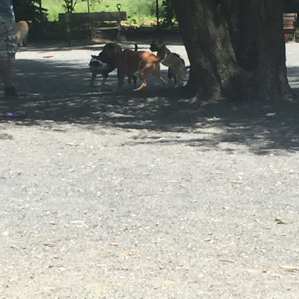 Photos at Vienna Dog Park Dog Park in Vienna