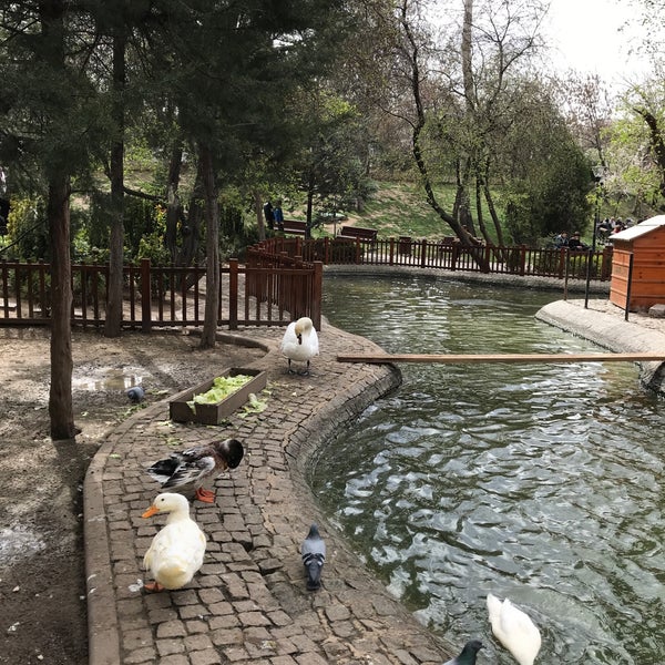 Photo prise au Kuğulu Park par izzet u. le3/19/2018