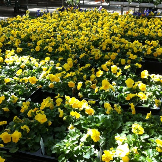 Romence Gardens & Greenhouses 6 tips