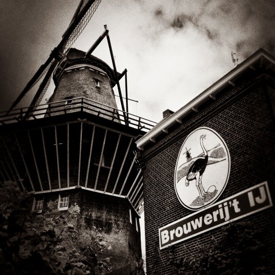 Best bars in Amsterdam