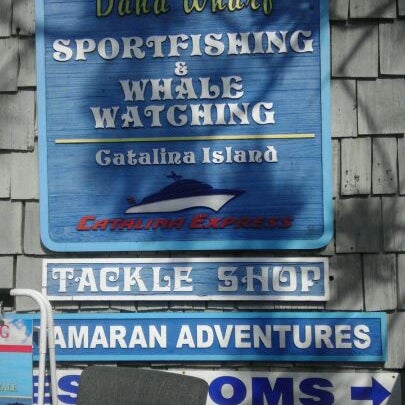 Photo taken at Dana Wharf Whale Watching by Marcie T. on 5/6/2012