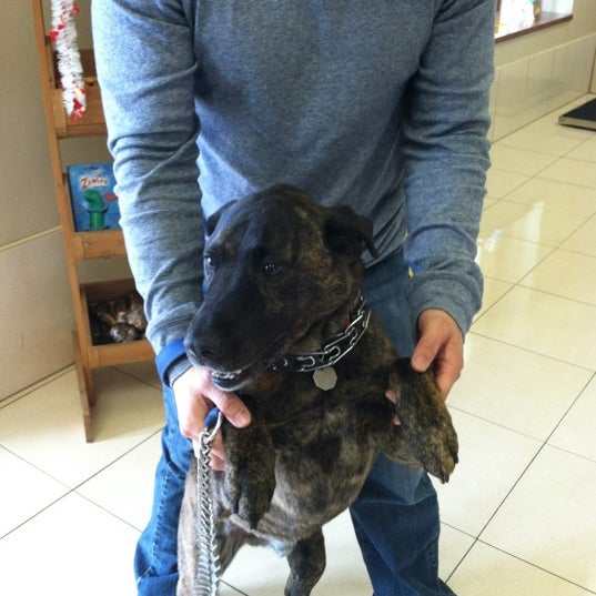 Peninsula Pet Resort 1 tip from 40 visitors