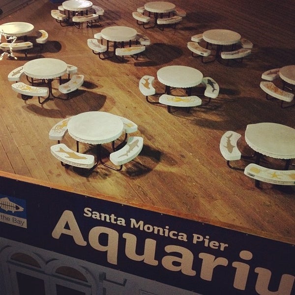12/2/2011にnomeansnooがSanta Monica Pier Aquariumで撮った写真