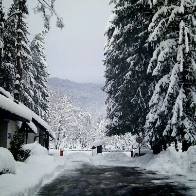12/26/2010 tarihinde Ales P.ziyaretçi tarafından Camping Bled'de çekilen fotoğraf