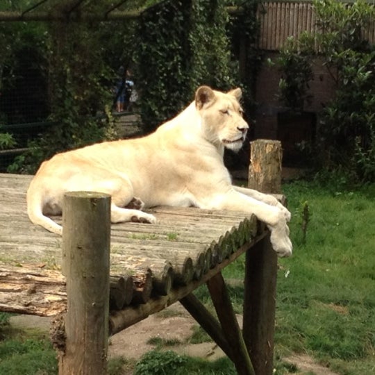 Снимок сделан в Hertfordshire Zoo пользователем Dave H. 8/16/2012