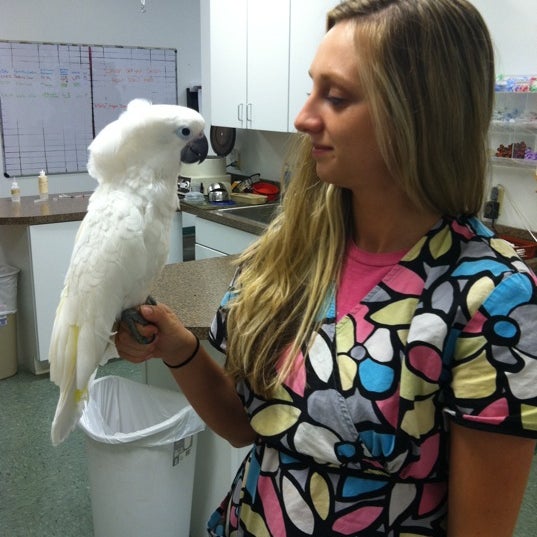 Foto diambil di Animal &amp; Avian Medical Center oleh Lauren K. pada 8/25/2011