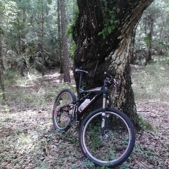 Wilderness Park Off Road Trails Greater Thonotosassa Thonotosassa, FL