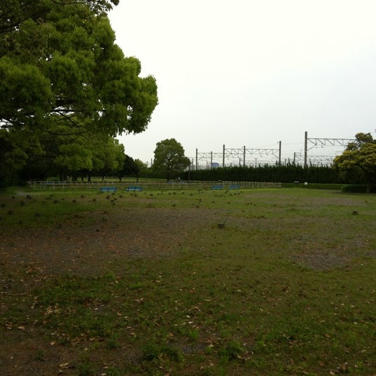 伊場遺跡公園 3 Tips 伊場遺跡公園 3 Tips