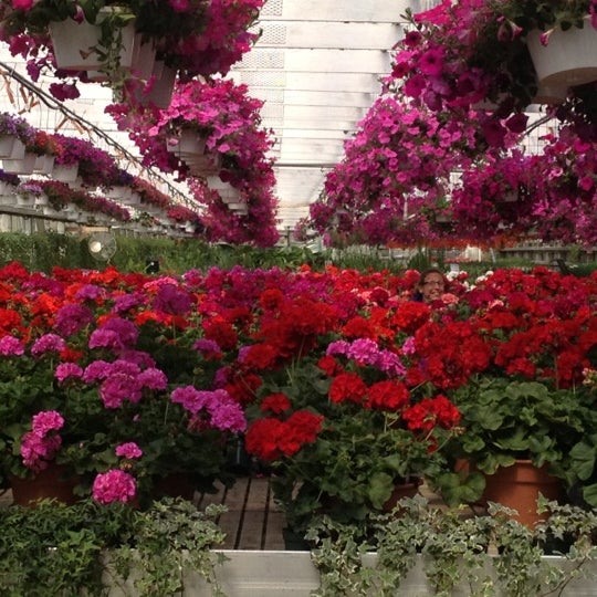 Romence Gardens & Greenhouses 6 tips