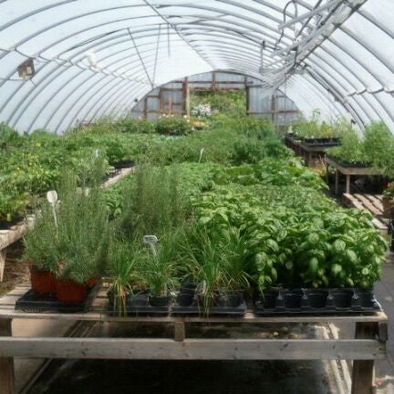 Greenwood Nursery Garden Centre Lambton Shores On