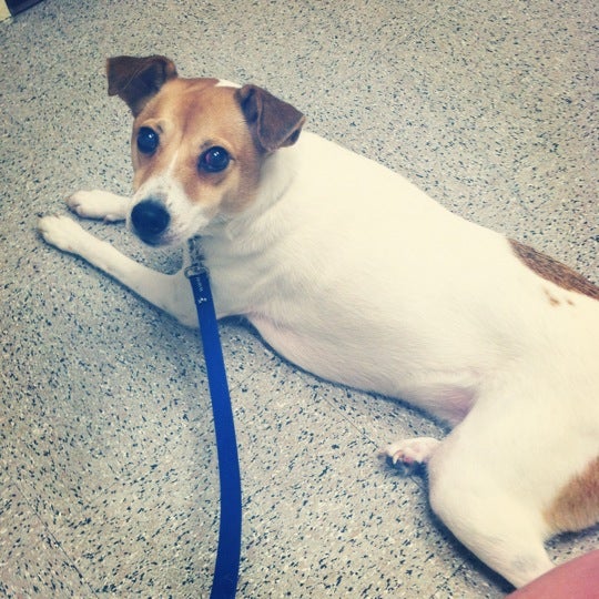 Photos at University of Florida Small Animal Hospital 4 tips from 206