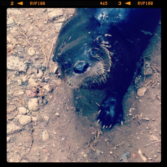 4/27/2012에 Jessica W.님이 Brandywine Zoo에서 찍은 사진