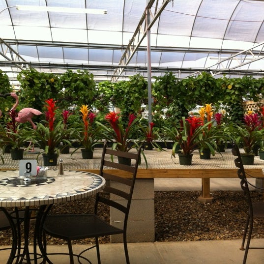 Alldredge Gardens Cafe Midland Texas Fasci Garden