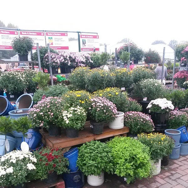 Longacres Garden Centre Opening Hours Fasci Garden