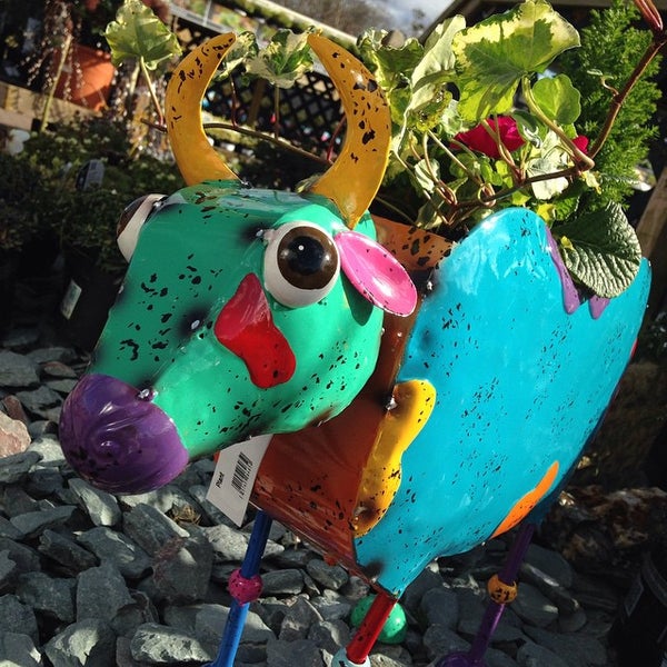 Photos at Longacres Garden Centre Bagshot, Surrey