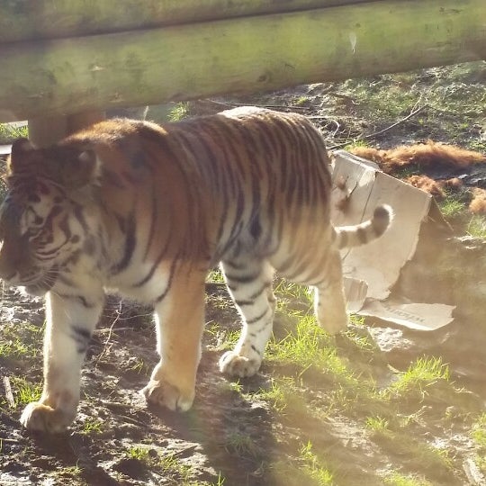 Foto tirada no(a) Hertfordshire Zoo por Sarah T. em 2/15/2015