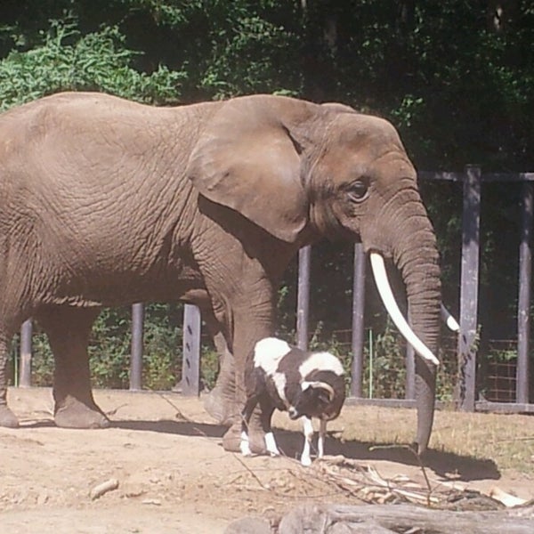 Photo taken at Zoo Rostock by Doreen S. on 7/31/2013