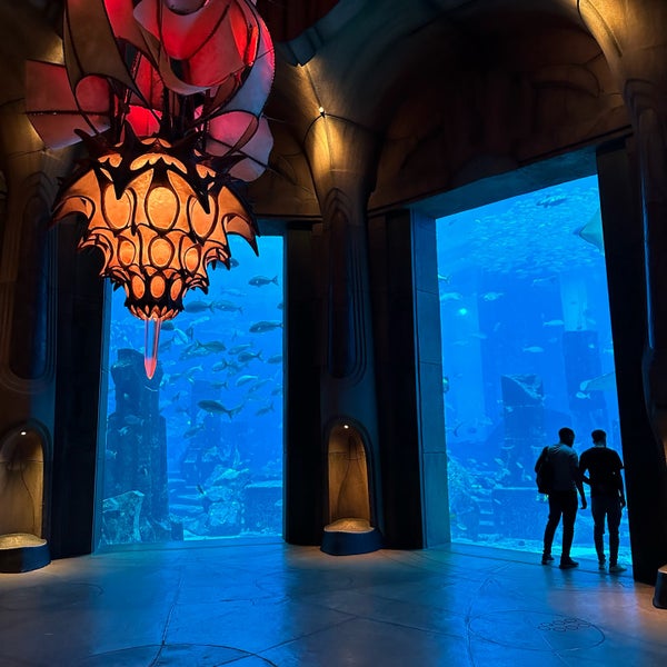 2/25/2023 tarihinde AbdulRahmanziyaretçi tarafından The Lost Chambers Aquarium'de çekilen fotoğraf