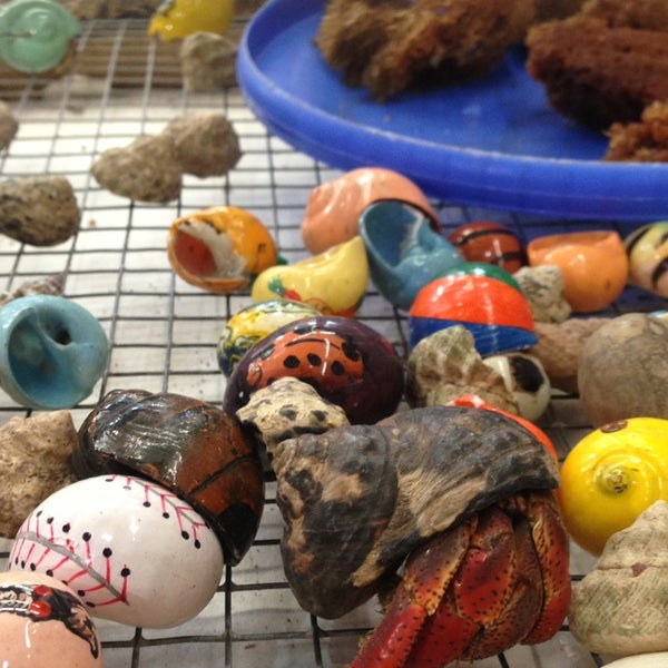 Wings Beachwear Clothing Store in Ocean Beach