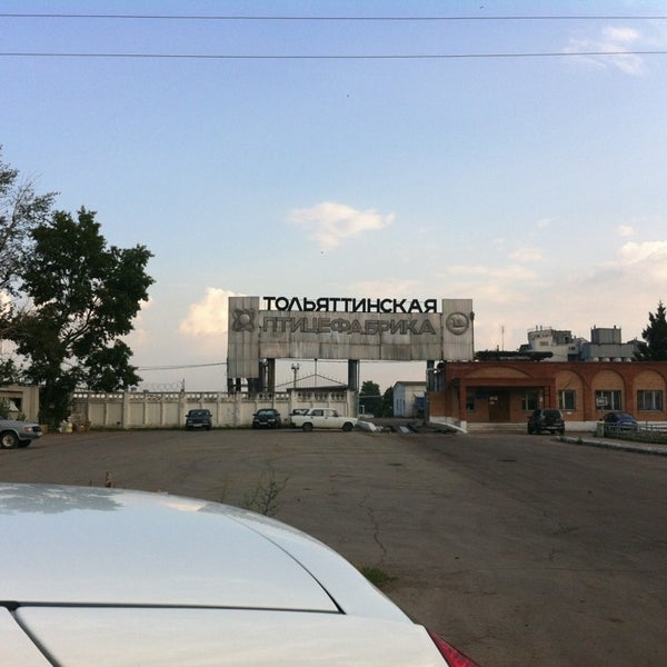 Тольяттинская птицефабрика стелла. Тольяттинская птицефабрика последние. Тольяттинская птицефабрика стелла. Жигулевская птицефабрика самарская область. Тольяттинская птицефабрика.