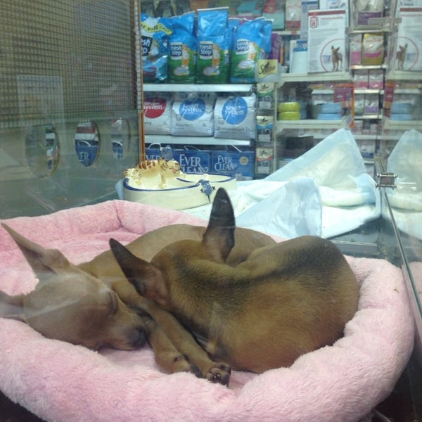Магазин 4 Лапы Королев