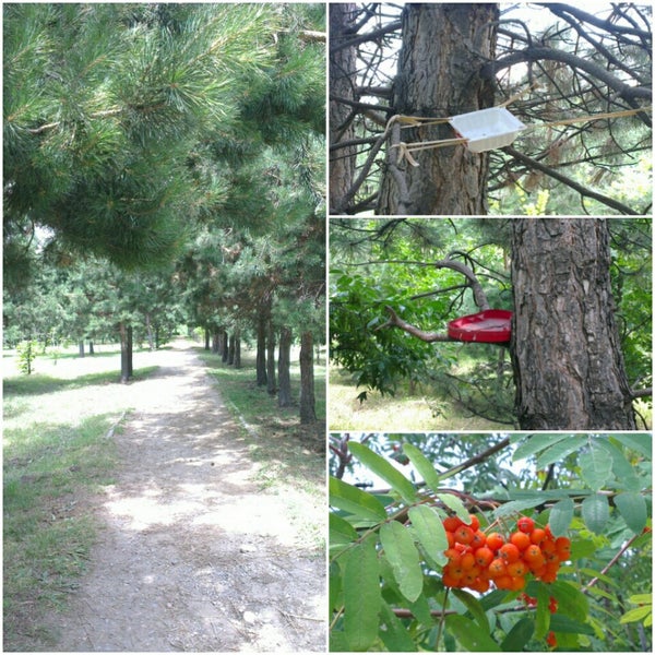Парк Южный Харабали