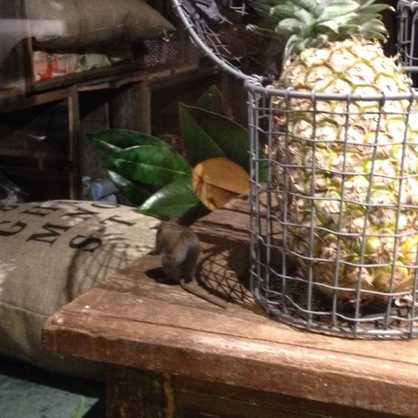 Pollon Flowers Melbourne CBD 199 Flinders Ln