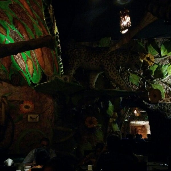 Animal Kingdom - Adyar West - 10 tips Animal Kingdom - Adyar West - 10 tips