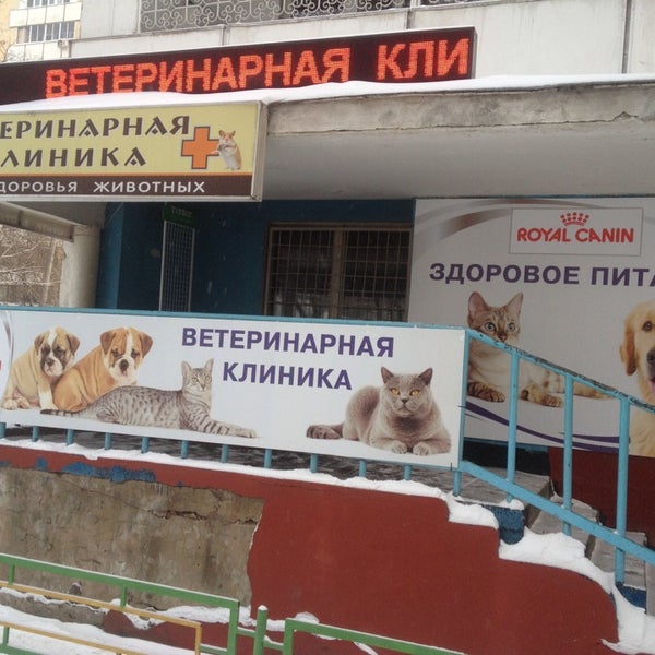 Здоровье животных. Атерис тамбов ветклиника. Зоомагазин миасс. Здоровье животных миасс. Зоомаг миасс.