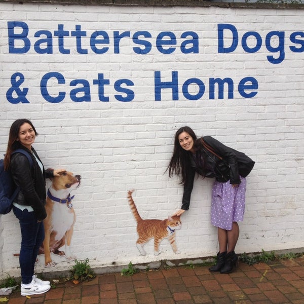 รูปภาพถ่ายที่ Battersea Dogs &amp; Cats Home โดย ᴡ Y. เมื่อ 11/2/2013
