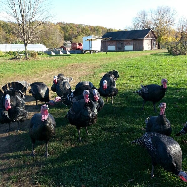 Das Foto wurde bei Sprout Creek Farm von Gloria T. am 10/20/2013 aufgenommen
